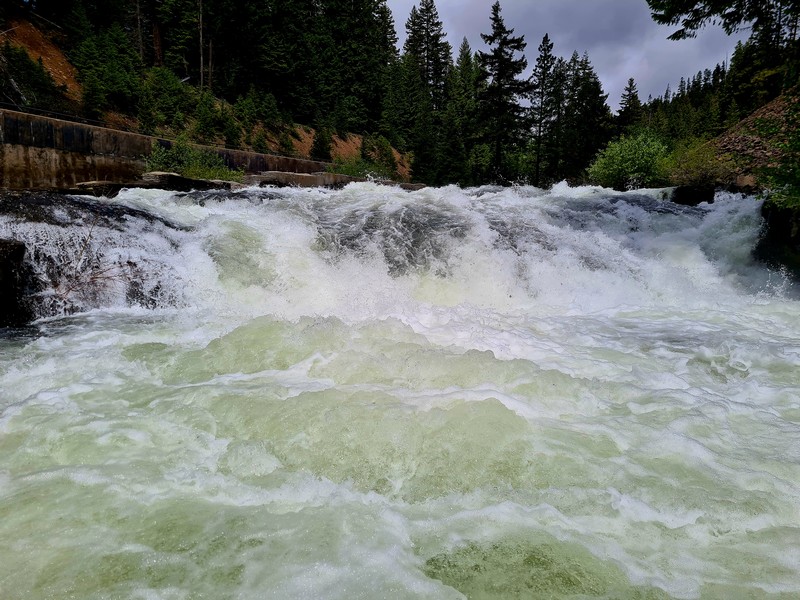 Fish ladders and falls – Just Frances